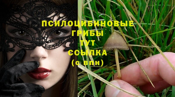дурь Покров
