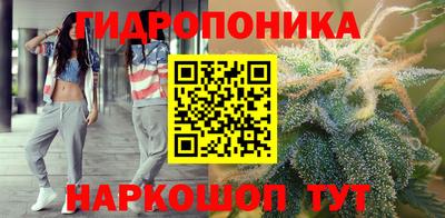 не бодяженный Сланцы