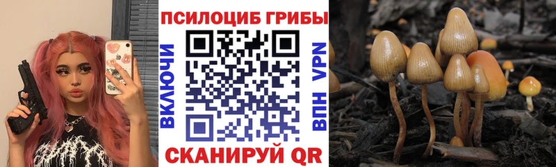 Псилоцибиновые грибы MAGIC MUSHROOMS Серов