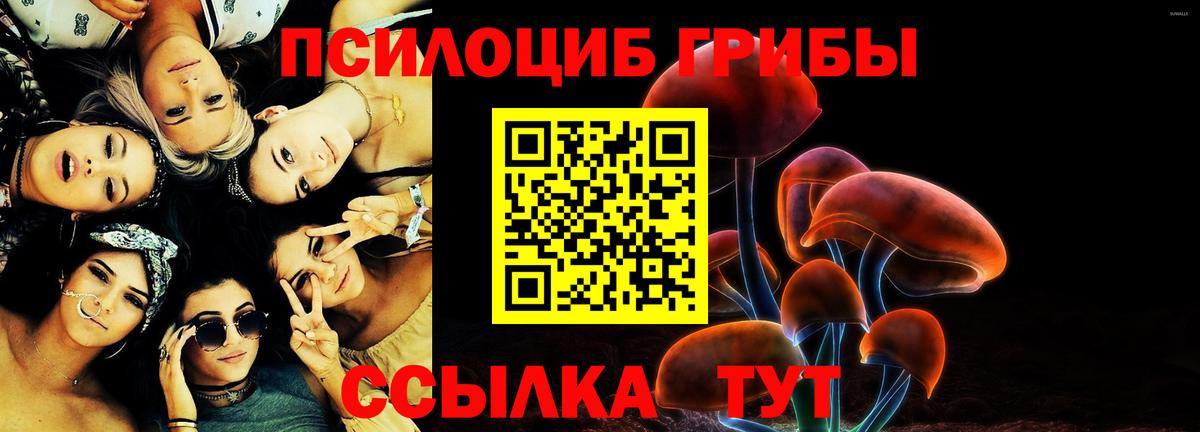 Галлюциногенные грибы Magic Shrooms  продажа наркотиков  Вход с VPN  Серов  Галлюциногенные грибы Psilocybe 